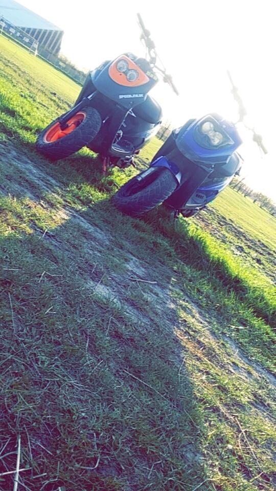 PGO Hot 50 billede 14