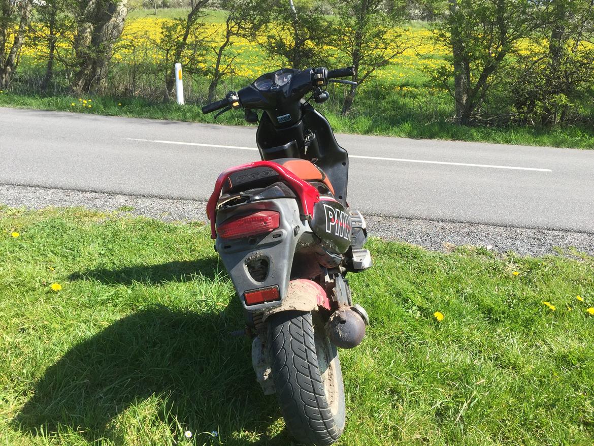 PGO Pmx billede 17