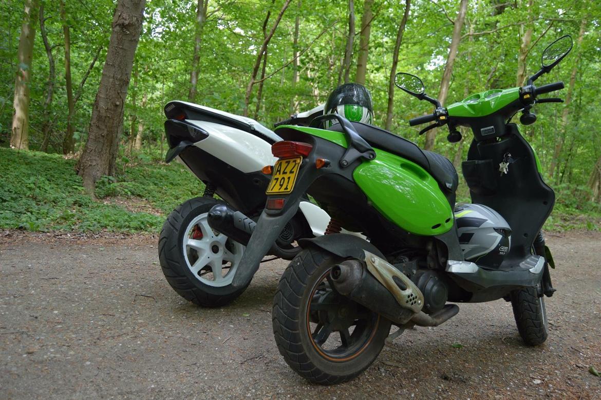 PGO Pmx sport billede 4