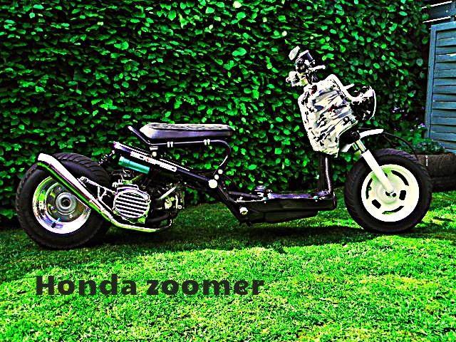 Honda zoomer lowrider  (SOLGT) billede 6