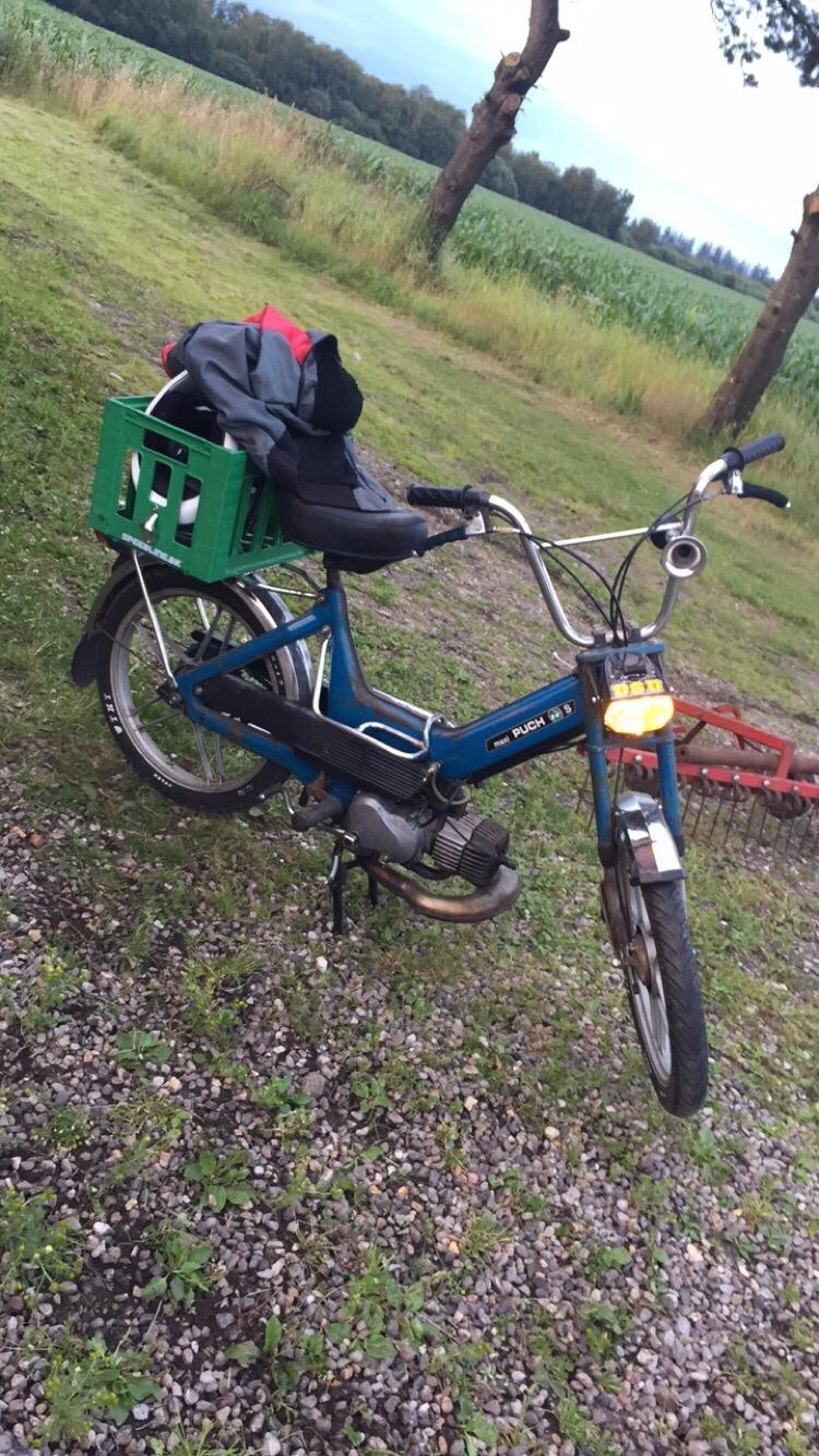 Puch Maxi billede 5