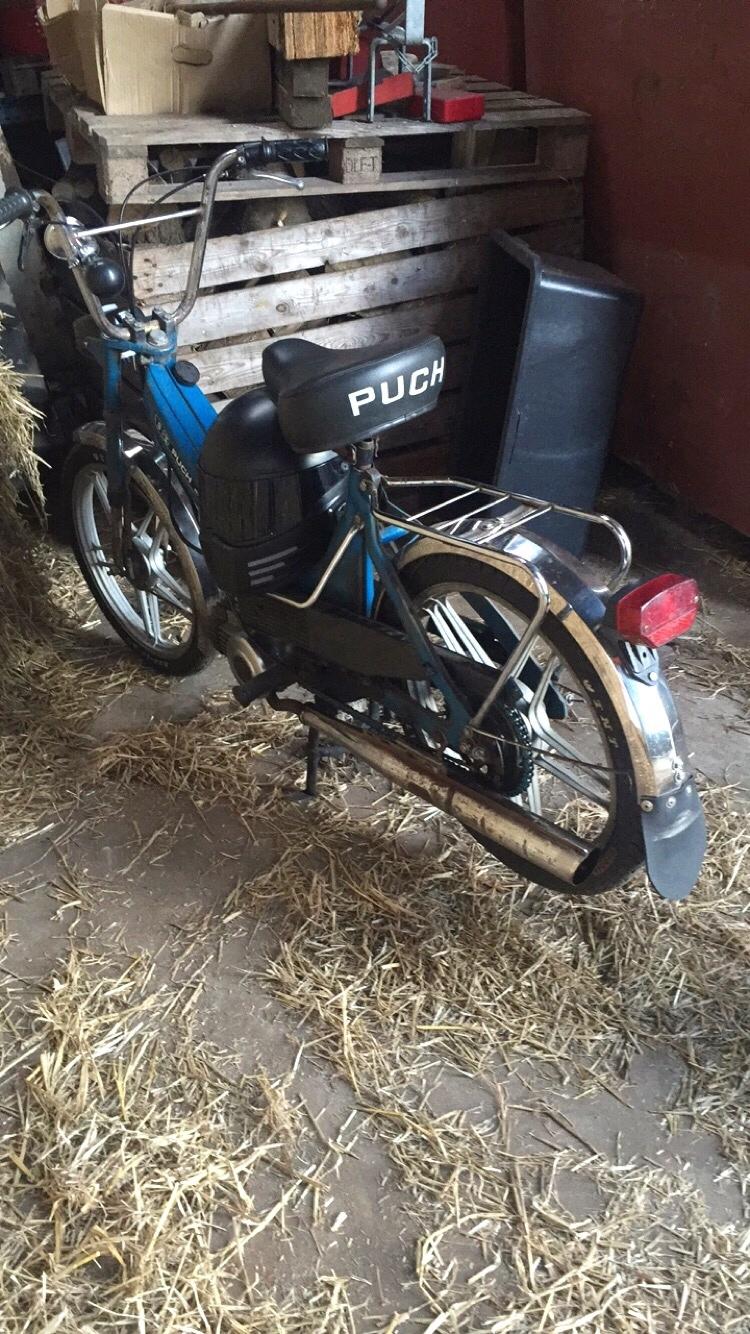Puch Maxi billede 8