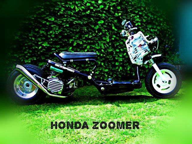 Honda zoomer lowrider  (SOLGT) billede 7