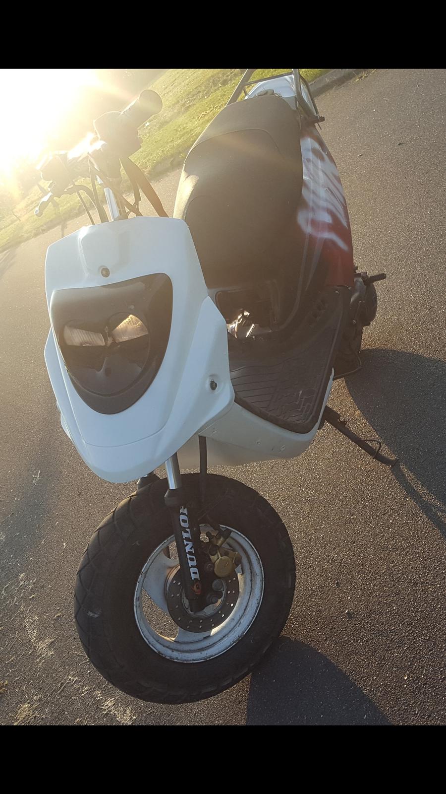 PGO Hot 50 SPORT billede 3