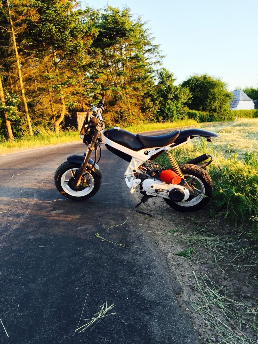 Suzuki Street magic billede 8