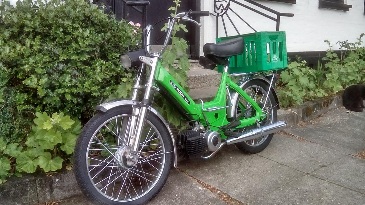 Puch Maxi K billede 1
