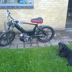 Puch 74cc Maxi / bws