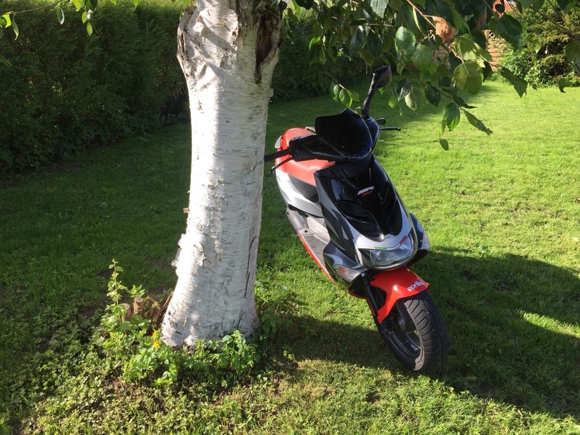 Aprilia SR billede 8