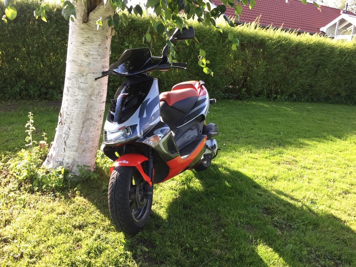 Aprilia SR billede 9