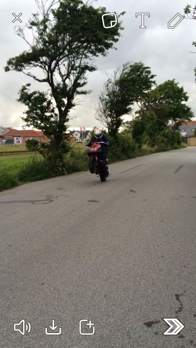 PGO Pmx naked billede 5