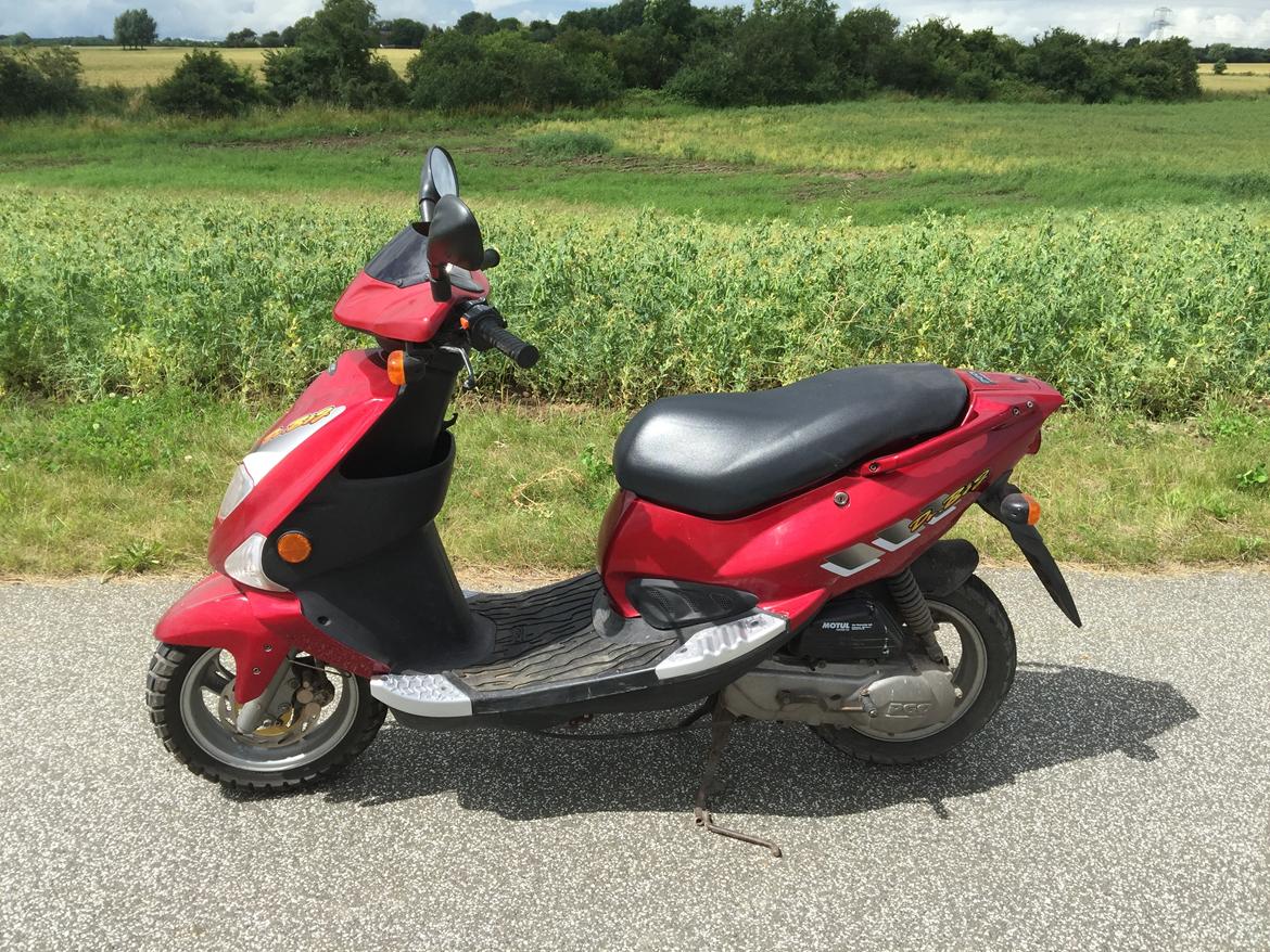 PGO Dr Big billede 1