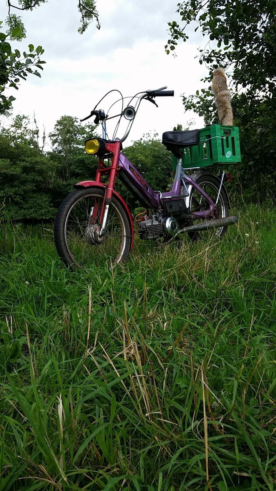 Puch Maxi K billede 4