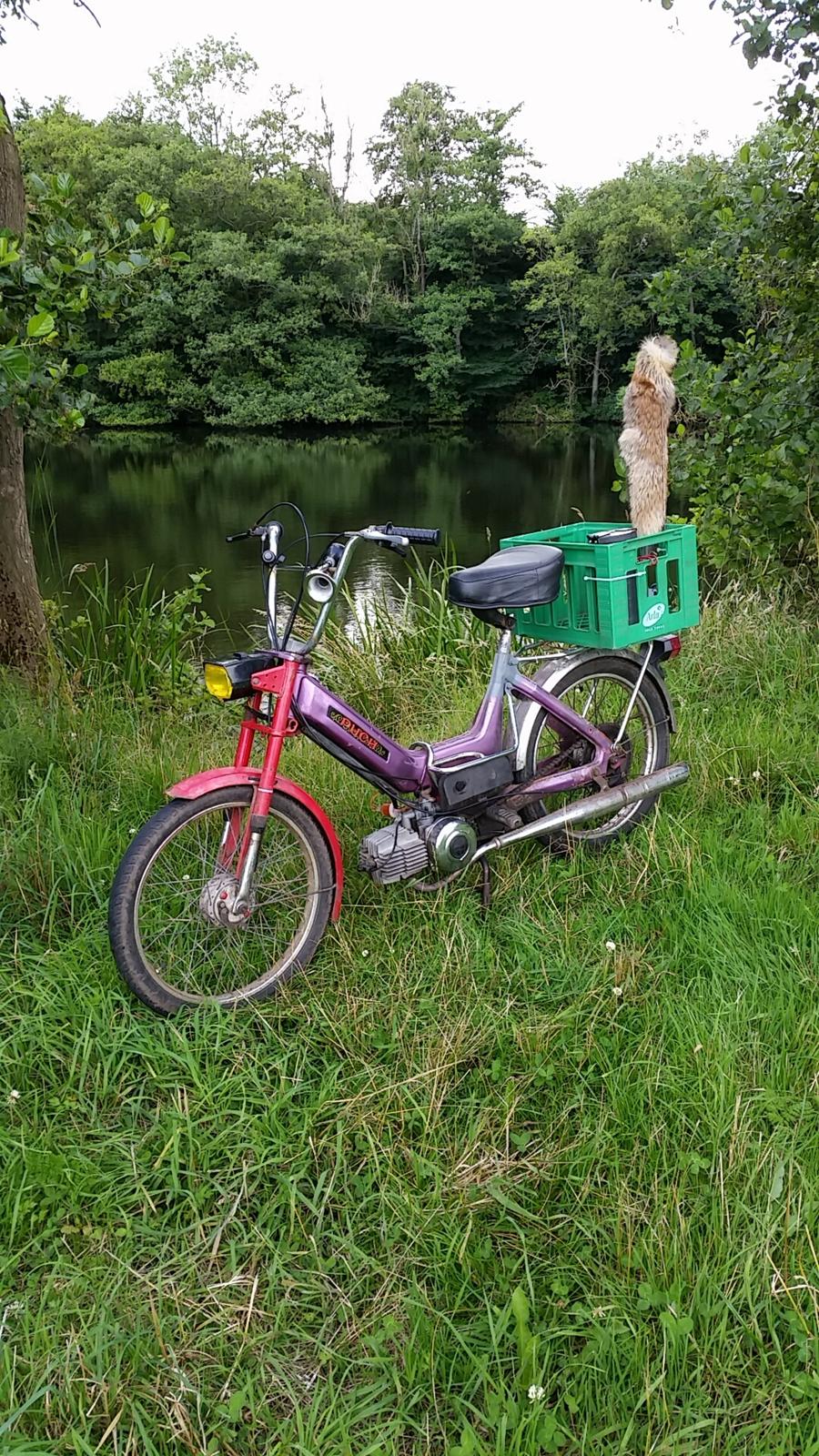 Puch Maxi K billede 1