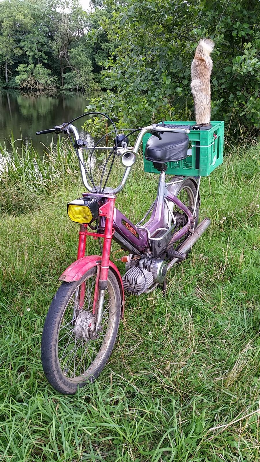 Puch Maxi K billede 6