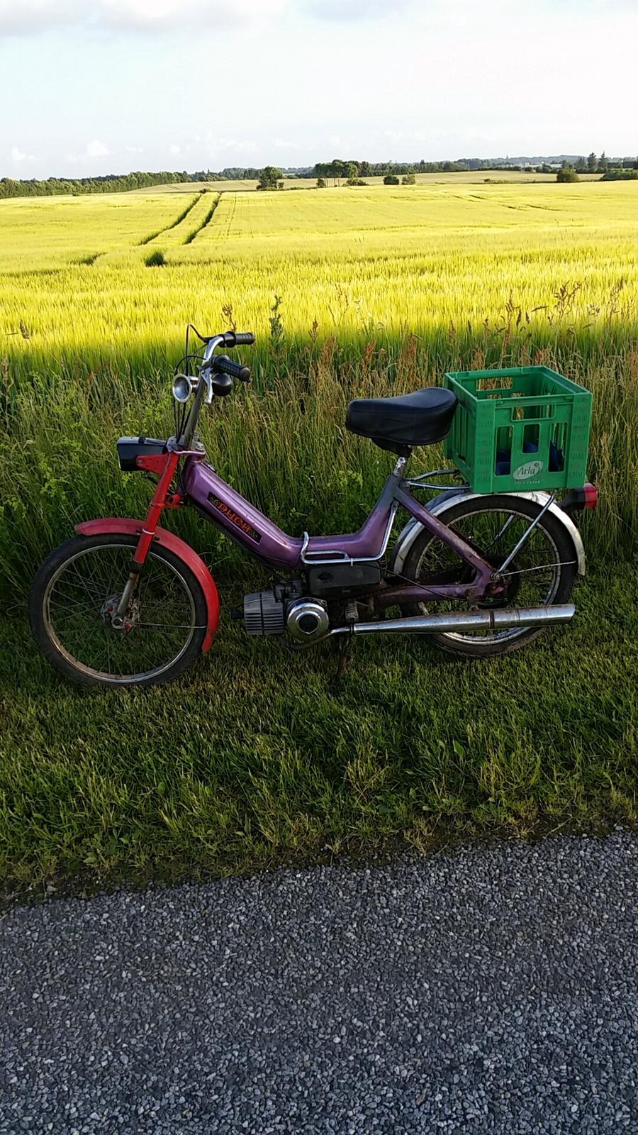 Puch Maxi K billede 5