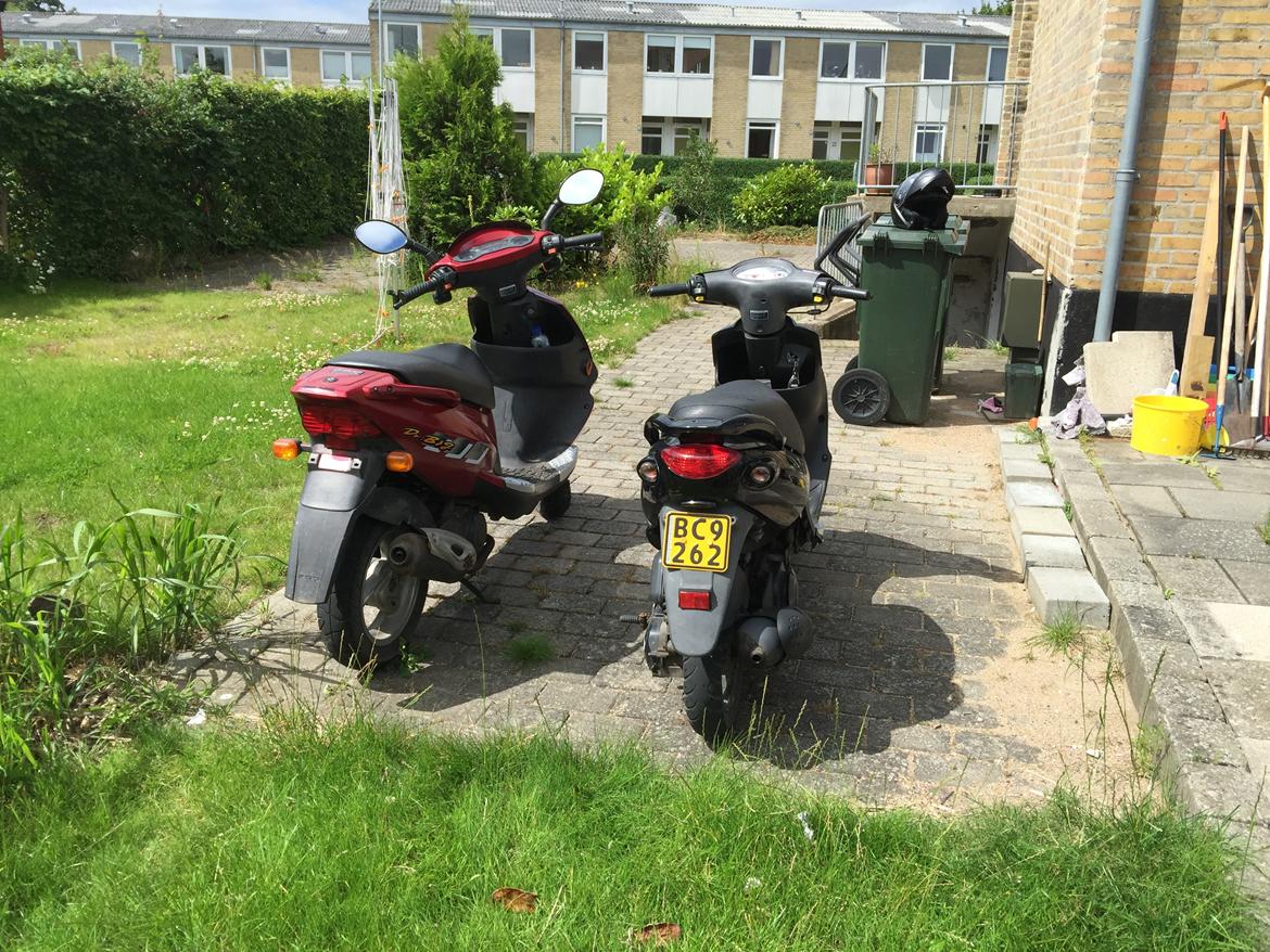 PGO Dr Big billede 9