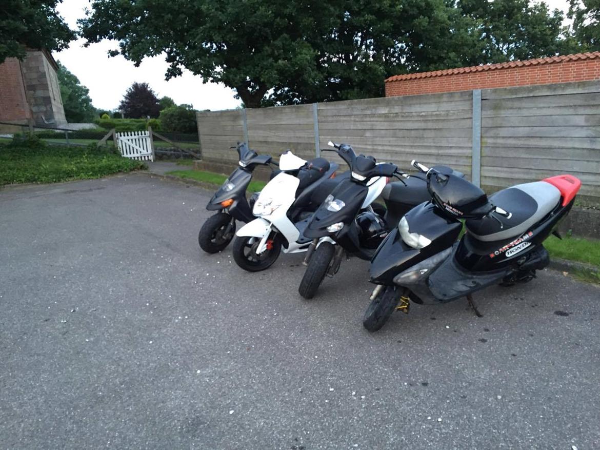 Yamaha jog r sort billede 8