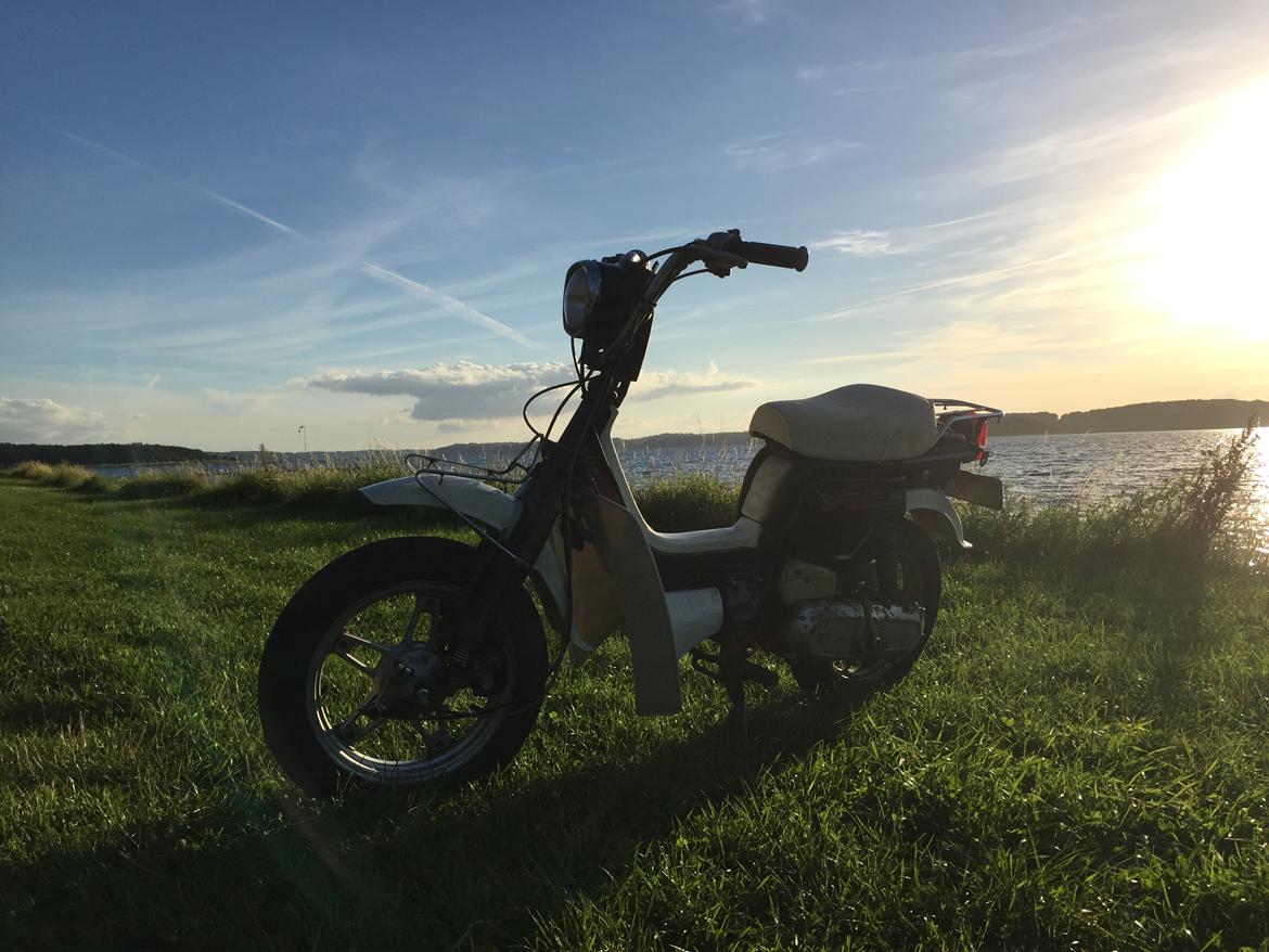 Suzuki fz 50 billede 18