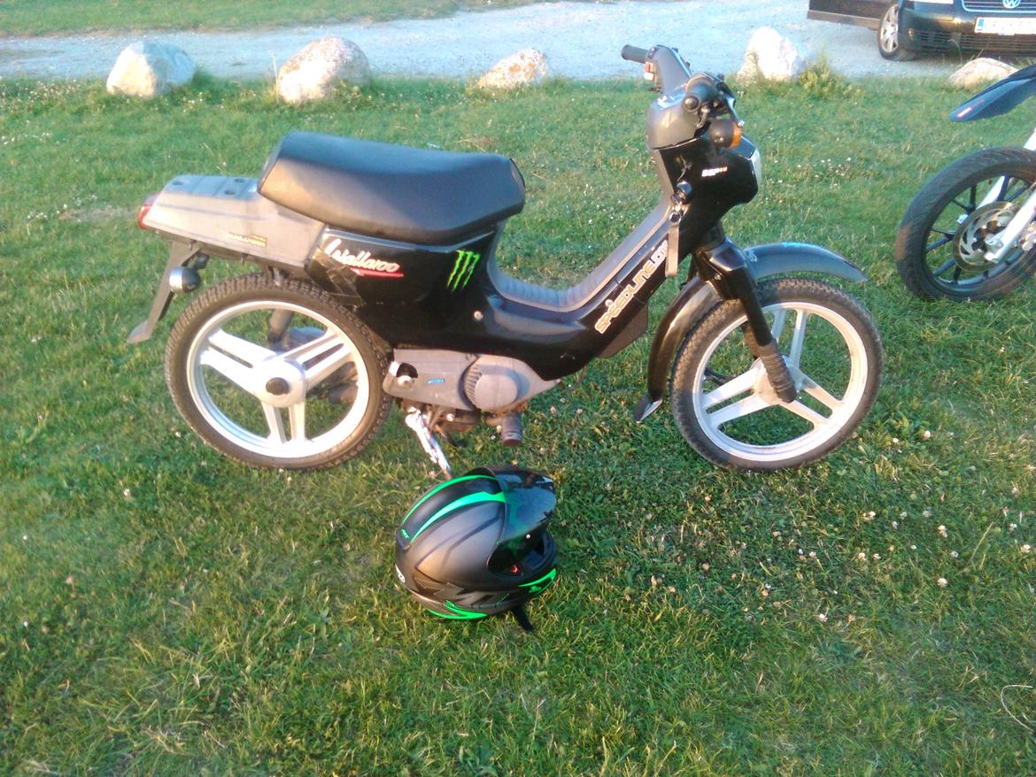 Honda Wallaroo (Trofast) SOLGT: ( - Aften tur ved vandet billede 17