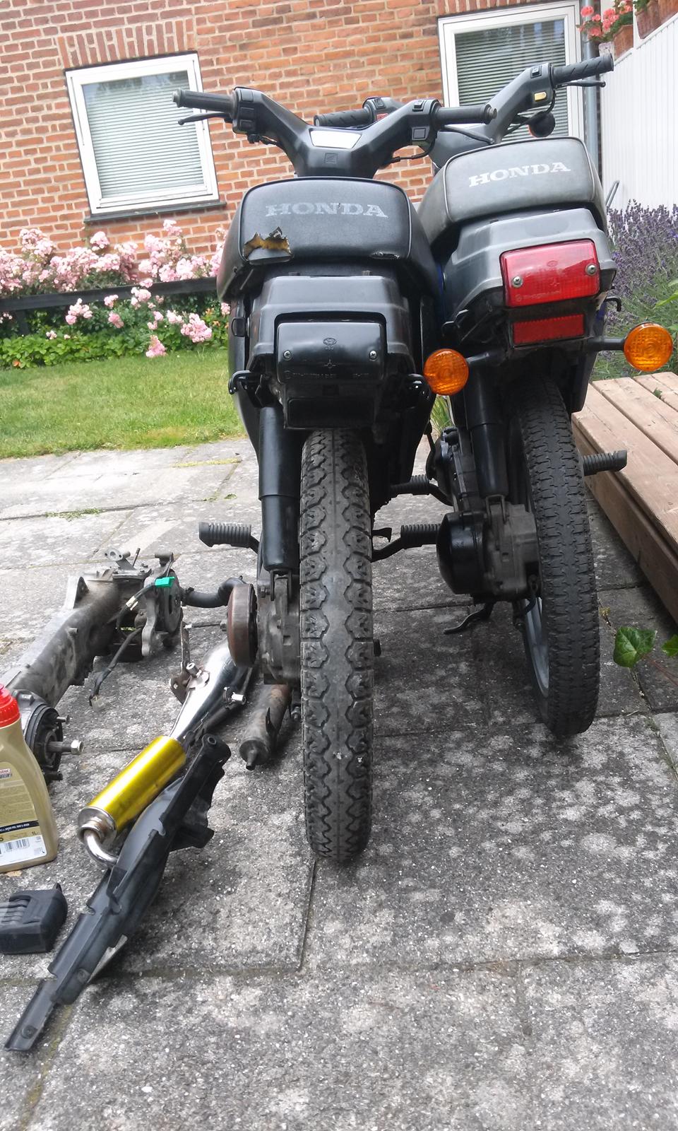 Honda Wallaroo SOLGT billede 12