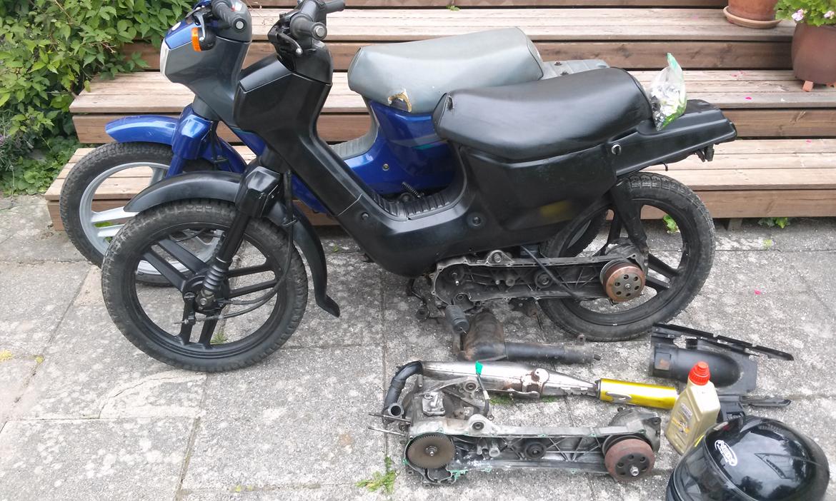 Honda Wallaroo SOLGT billede 11