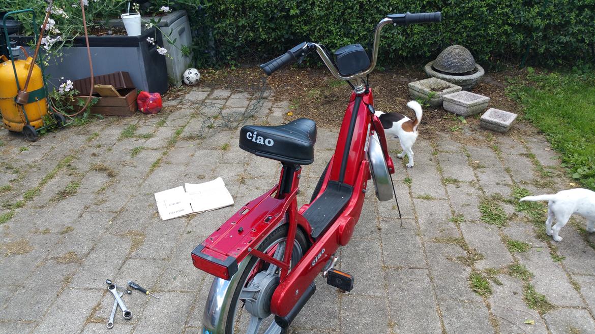 Vespa Ciao SOLGT. billede 5
