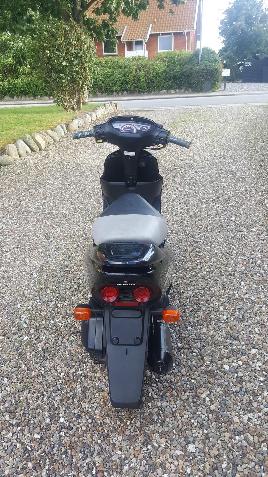 Honda Sfx  billede 7