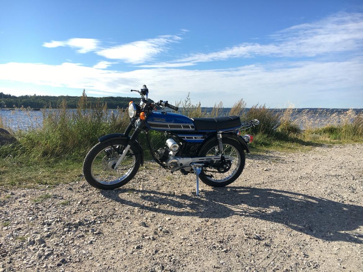 Yamaha Fs1 DX billede 4