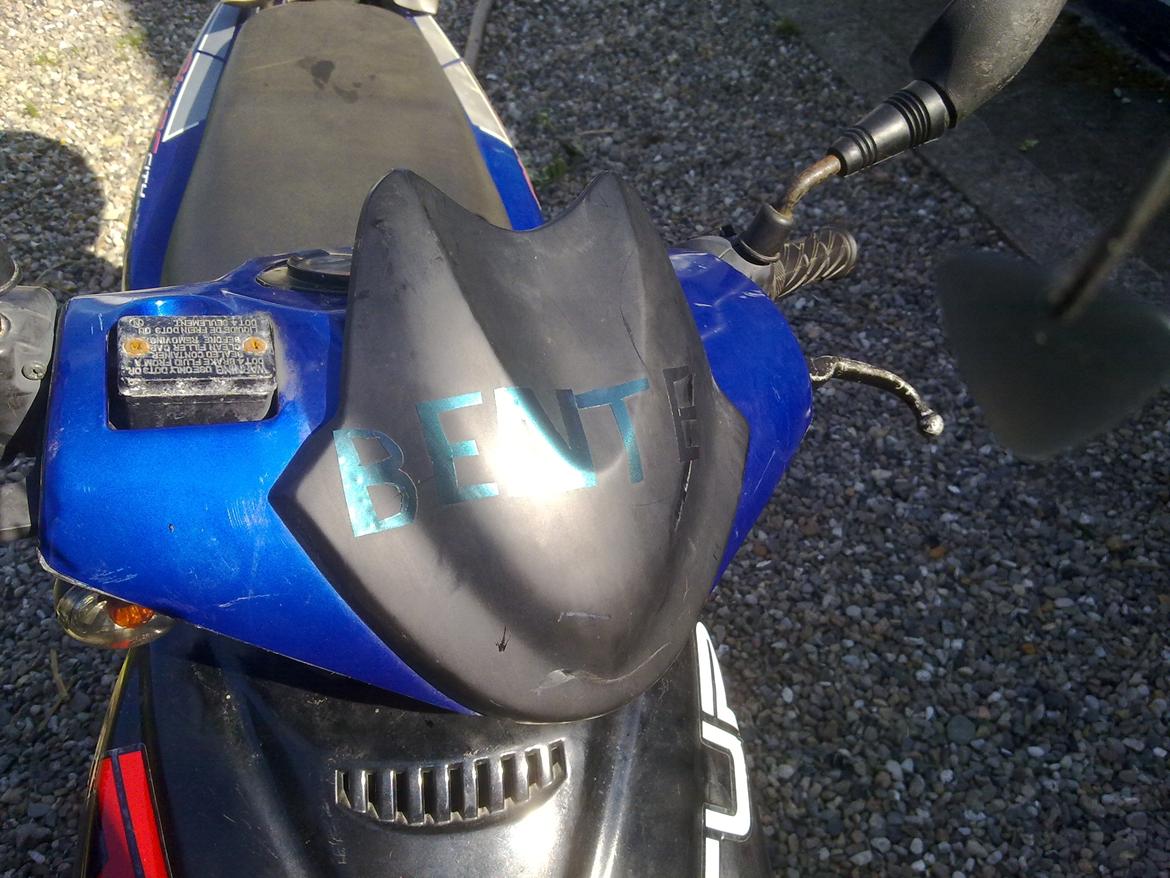 CPI oliver/hussar (Bente)  billede 8