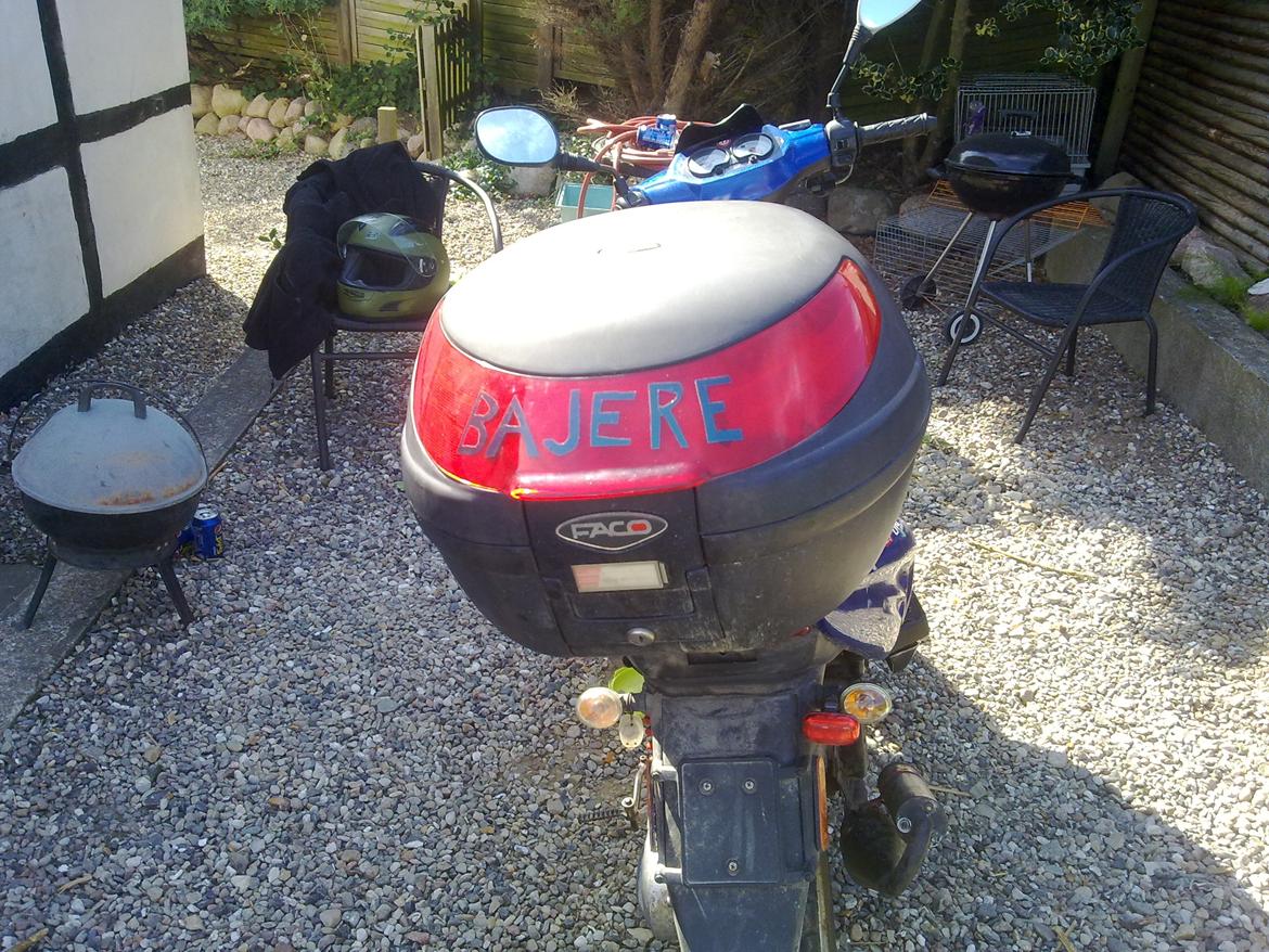 CPI oliver/hussar (Bente)  billede 9