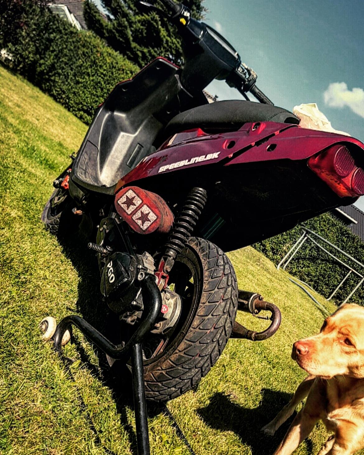 PGO Hot 50 billede 2