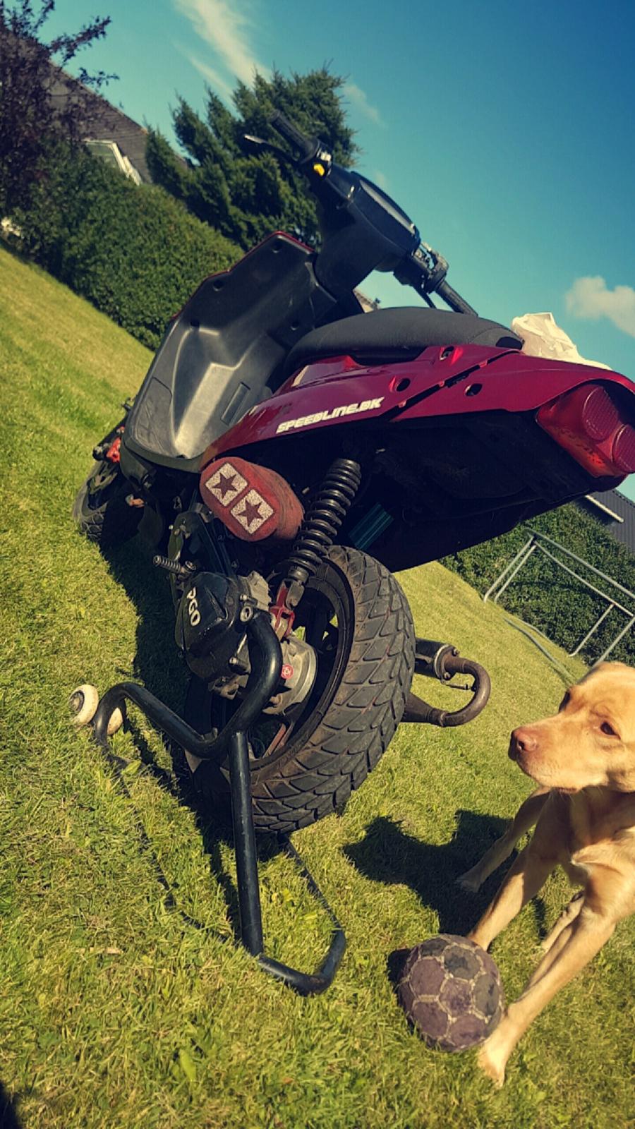 PGO Hot 50 billede 6