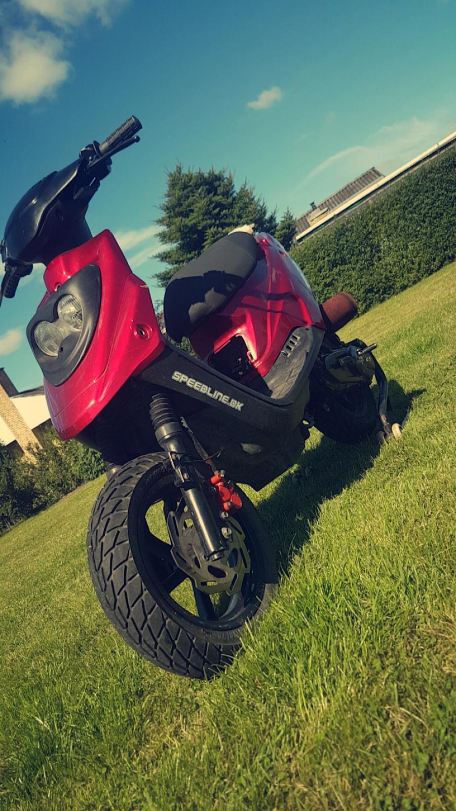 PGO Hot 50 billede 7