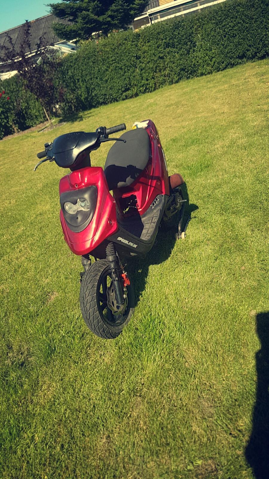 PGO Hot 50 billede 5