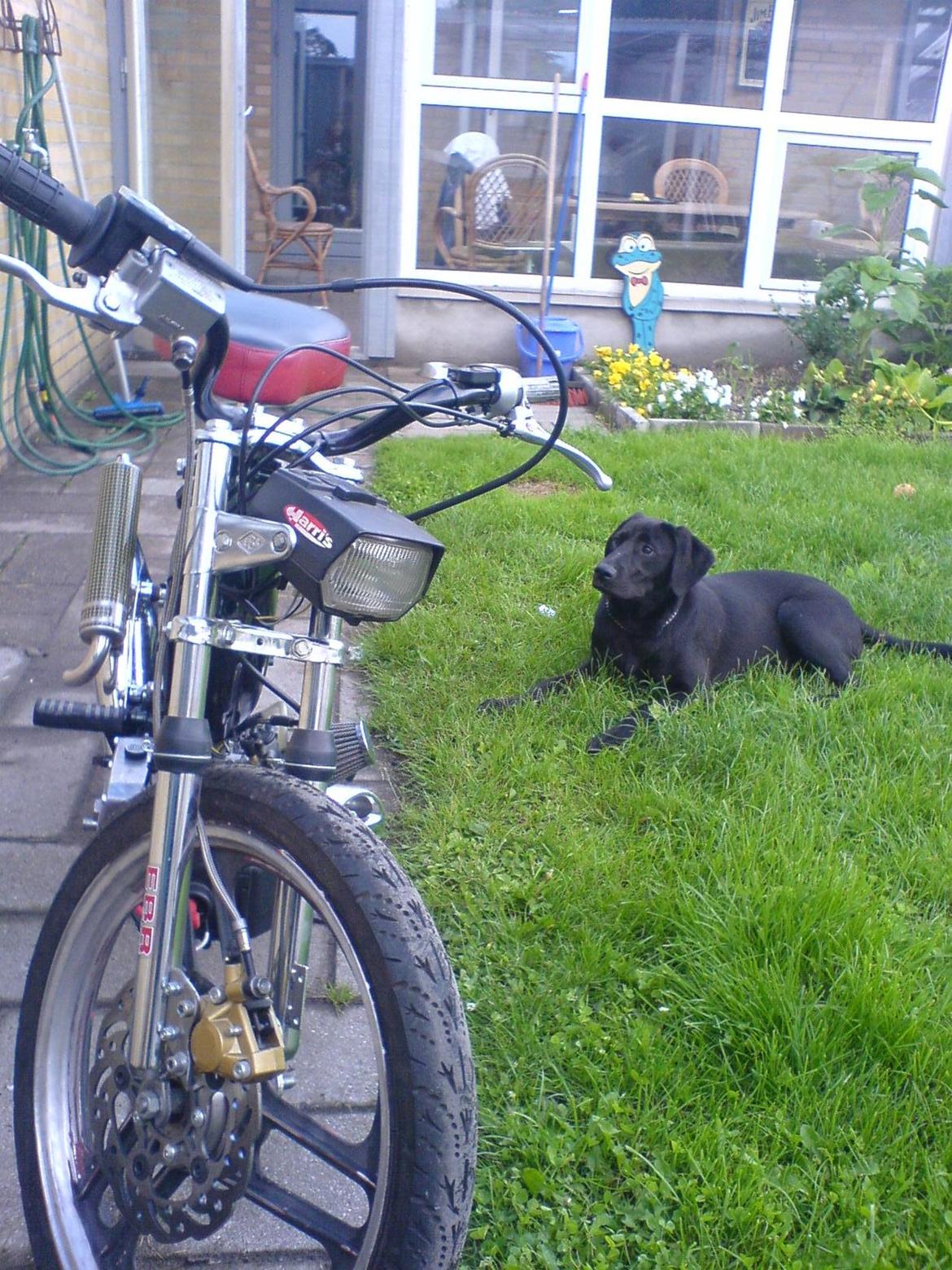 Puch 74cc Maxi / bws billede 4