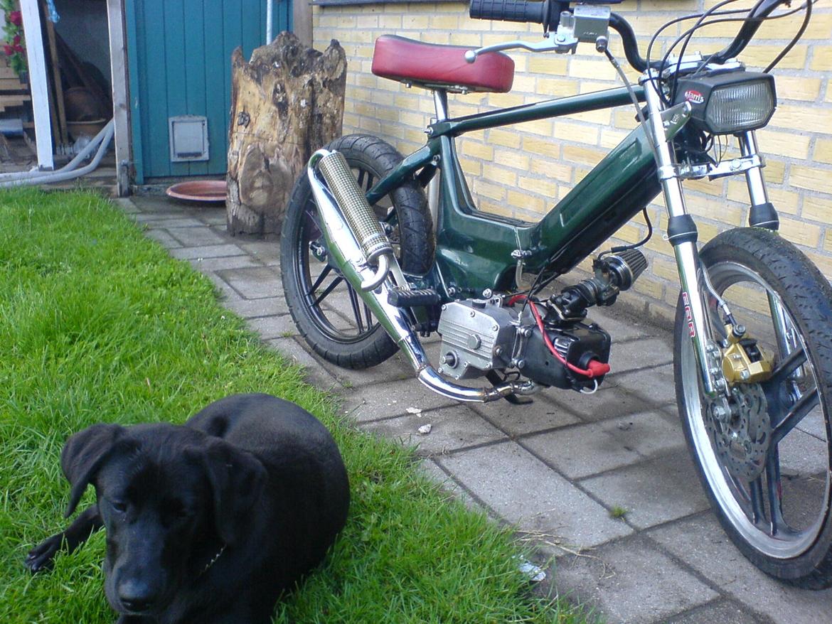 Puch 74cc Maxi / bws billede 2