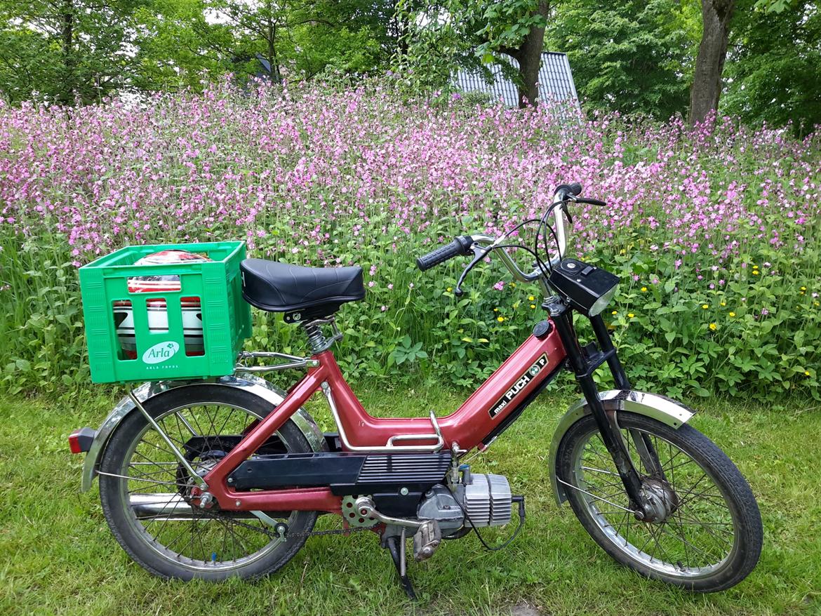 Puch Maxi P billede 8