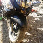 PGO dr-big  projekt!!