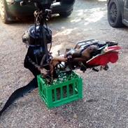 PGO dr-big  projekt!!