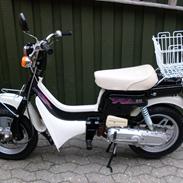 Suzuki FZ50 ( SOLGT )