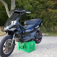 Gilera runner LC DD EVO 2