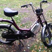 Piaggio Bravo BROWN SHIT