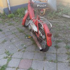 Puch maxi p