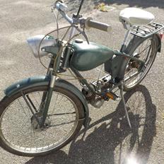 Veteraner The Golden Star