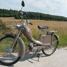 Veteraner Rex Model 17