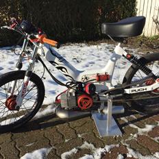 Puch maxi K