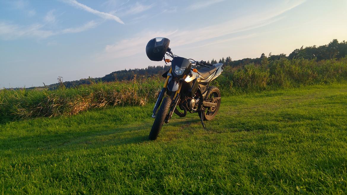 Generic Trigger sm 50 billede 9