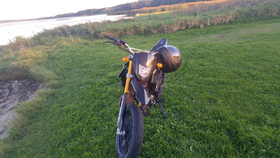 Generic Trigger sm 50 billede 14