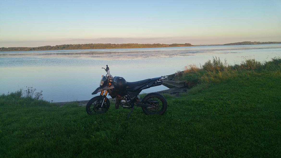 Generic Trigger sm 50 billede 15