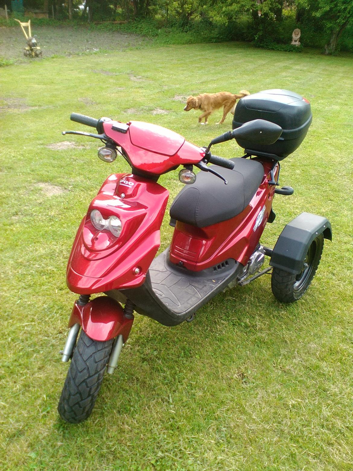 PGO Hot 50 3 hjulet billede 3